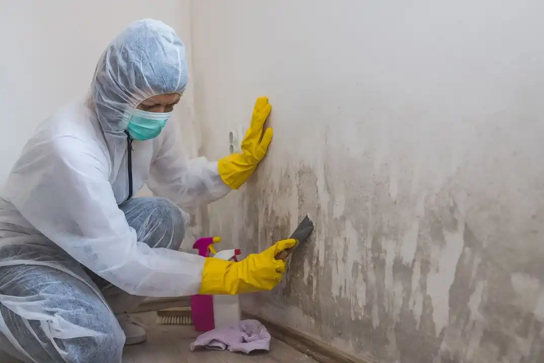 water damage restoration service North Lynbrook